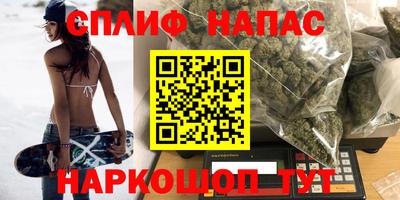 шишки Гусиноозёрск